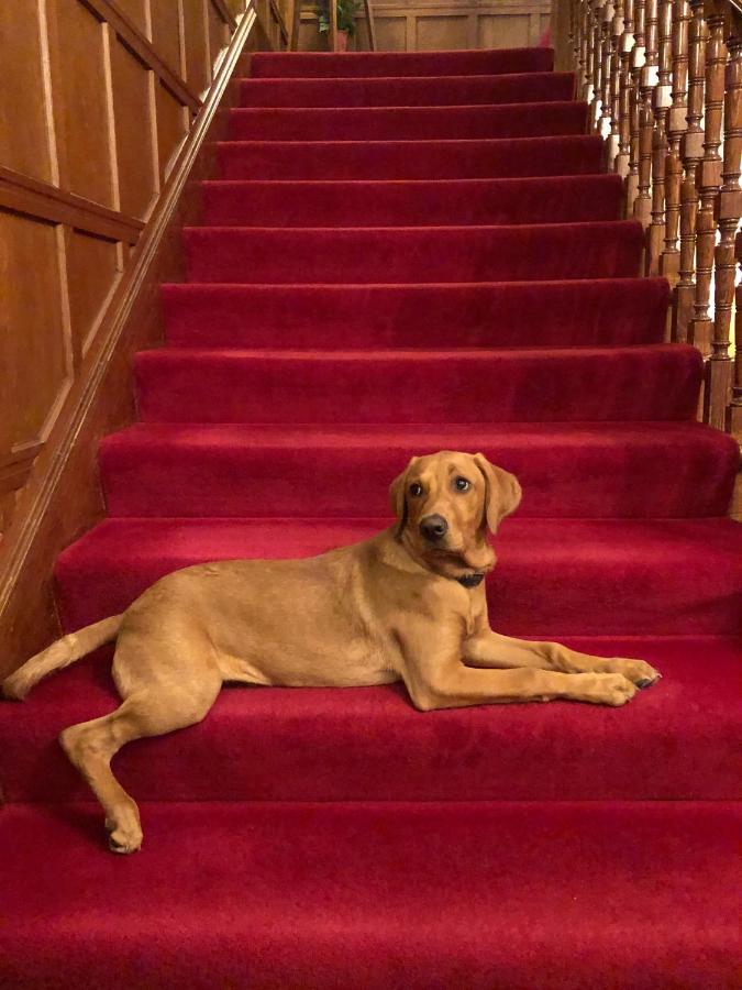Tigh Na Sgiath Country House Hotel Grantown-on-Spey Esterno foto